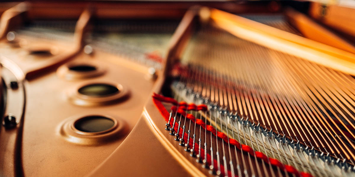 Nahausnahme eines aufgeklappten Flügels vor dem Ausführen mehrerer Durchgänge von Stimmungen